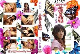 花と蝶 877　悦子　29歳悦子　29歳