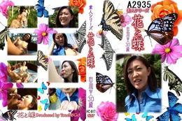 花と蝶　817 桜田由加里　30歳桜田由加里　30歳
